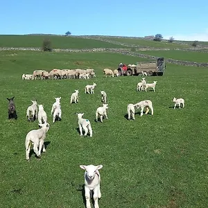 https://henrys-cottage.yorkshirehotels.net