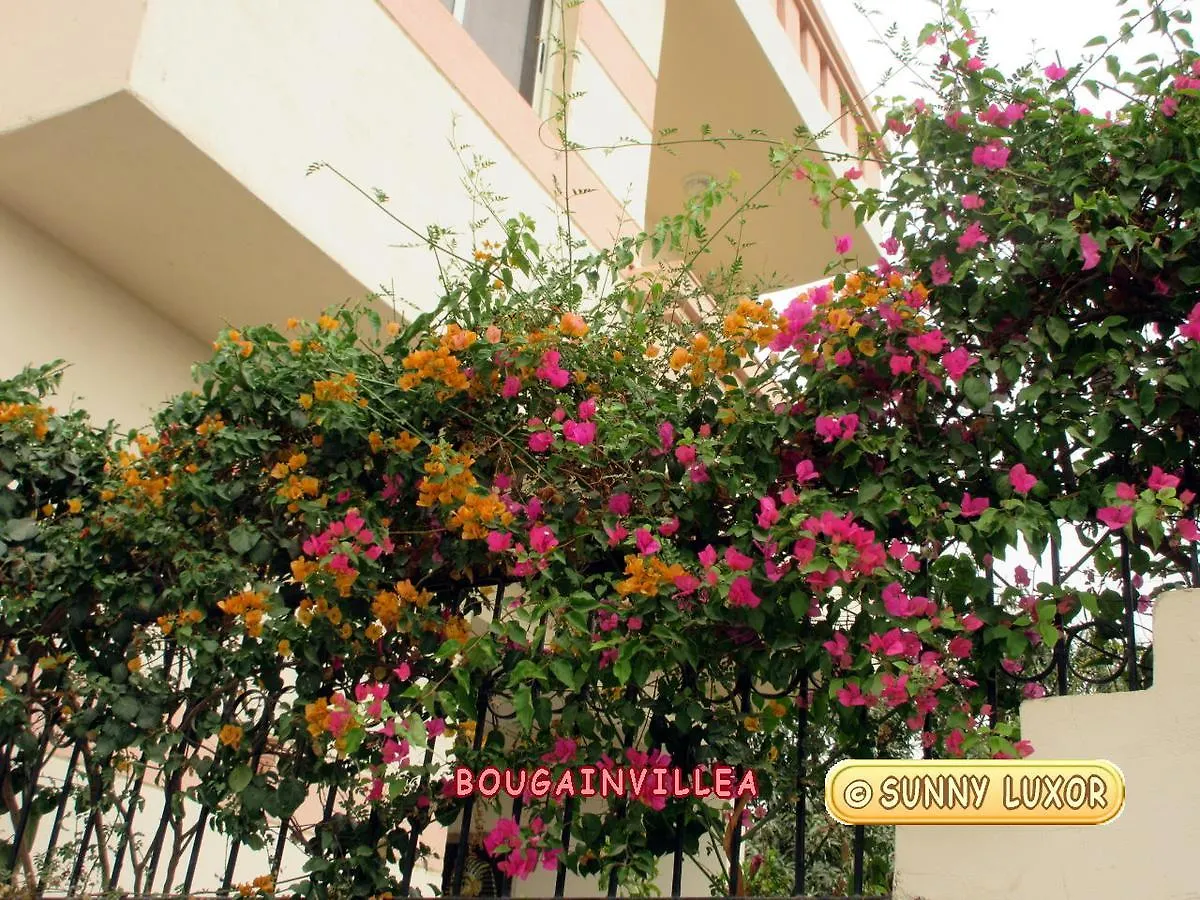 Sunny Luxor Apartment 0*,  Egypt