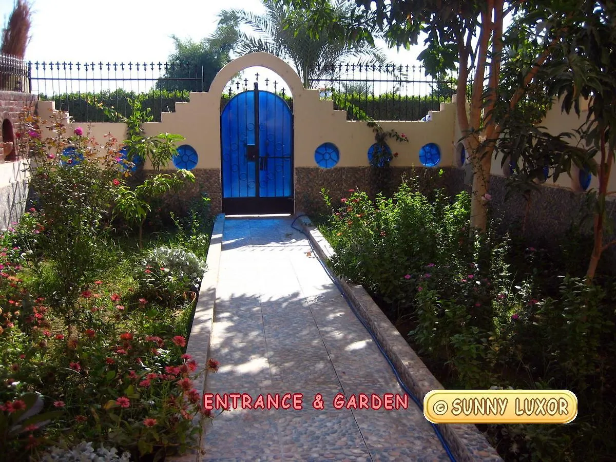 Sunny Luxor Apartment